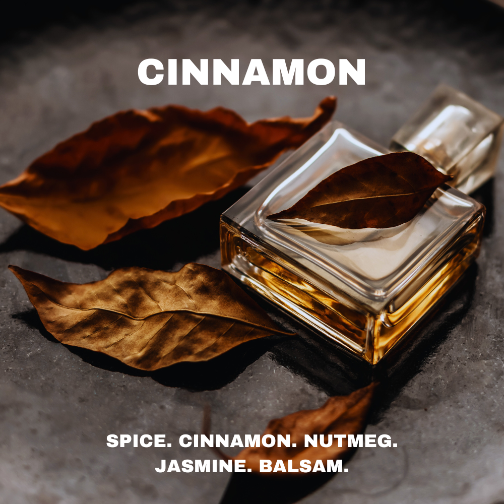 Cinnamon perfume car fragrance